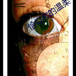 恰似你的溫柔
