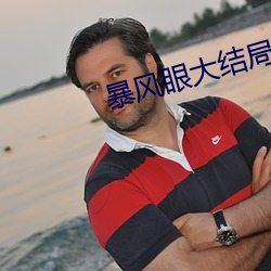 暴风(風)眼大(大)结局