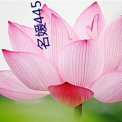 金年会(中国)官方网站