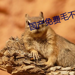 国产免(免)费(費)毛不卡(卡)片