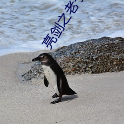亮剑之老子(子)是孔捷