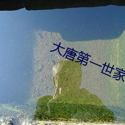大唐(唐)第一(一)世家(家)