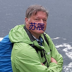 蘇辰