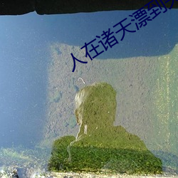 人在诸天漂到失联