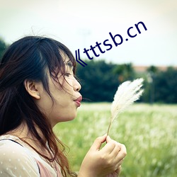 《tttsb.cn