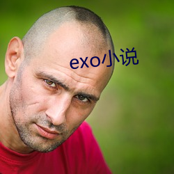 exo小说