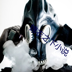 锦衣之下小说