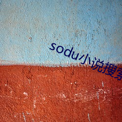 sodu小(xiǎo)说搜(sōu)索(suǒ)