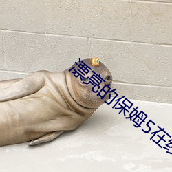 漂亮的保姆5在线观看