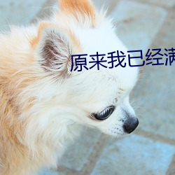 米乐M6·(中国)官方网站