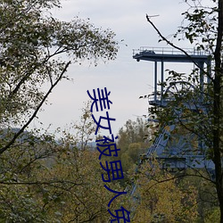 AG真人平台(中国)官方网站