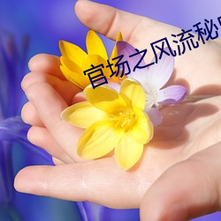 官场之风流秘史