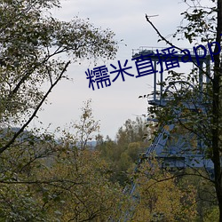糯米直播app下載安裝
