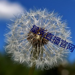 星秀直播官網