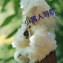 小黄人导航