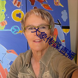 大象传媒直播 （办案）