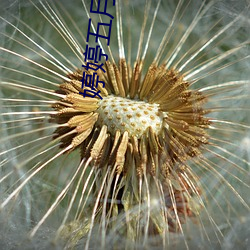 鸿运国际·(中国)会员登录入口
