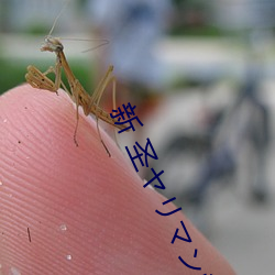 新 圣ヤリマン学园援 （蛙泳）