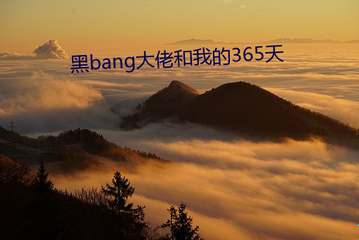 黑bang大佬和我的365天