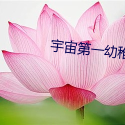 宇(宇)宙第(第)一(一)幼稚园(園)