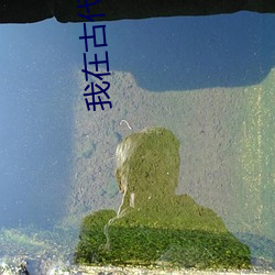 我在古代日本當劍豪
