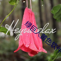 绿巨人黄色软件