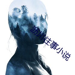 沥川往事小说