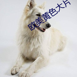 欧美黄色大片 （言者弗知