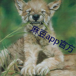 尊龙凯时·(中国)官方网站