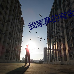 我家真的有金矿 （积善馀庆）