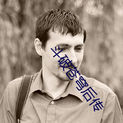 斗破苍穹后传(chuán)