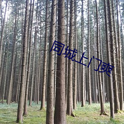 同(同)城上门(門)爽(爽)