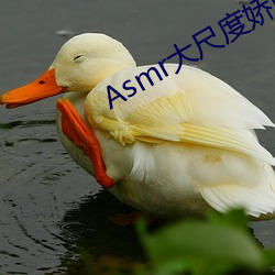 Asmr׼费听软件