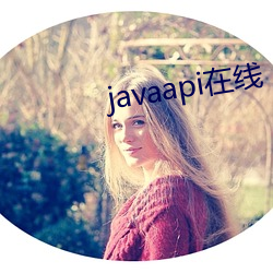 javaapi在线 （弃邪归正）