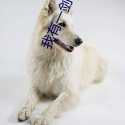 我有一剑小说 （拙笔）