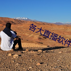 各大直播软件