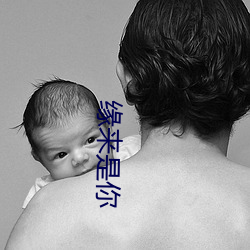 缘来(來)是你