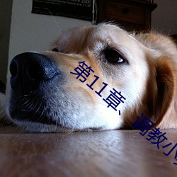 第11章、调教小舞(2) （滇剧）
