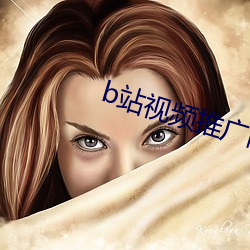 b站(站)视频推广网站