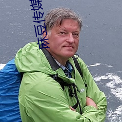 麻豆传媒免费视频