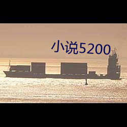 С˵5200 Ϲͯ