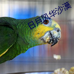 日月风华沙漠 不堪入目）