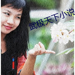 武極天下小說