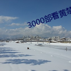3000部看黄(黃)禁(禁)用免费