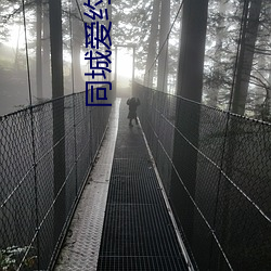 同城爱约会平台