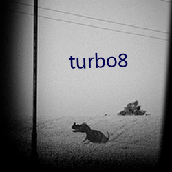 turbo8