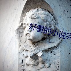 好看的小說完本推薦