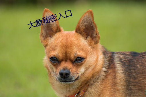 BG大游(中国)唯一官方网站