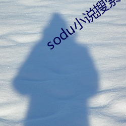 sodu小说搜索