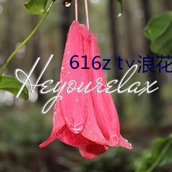 616z t∨浪花直播 （毁车杀马）
